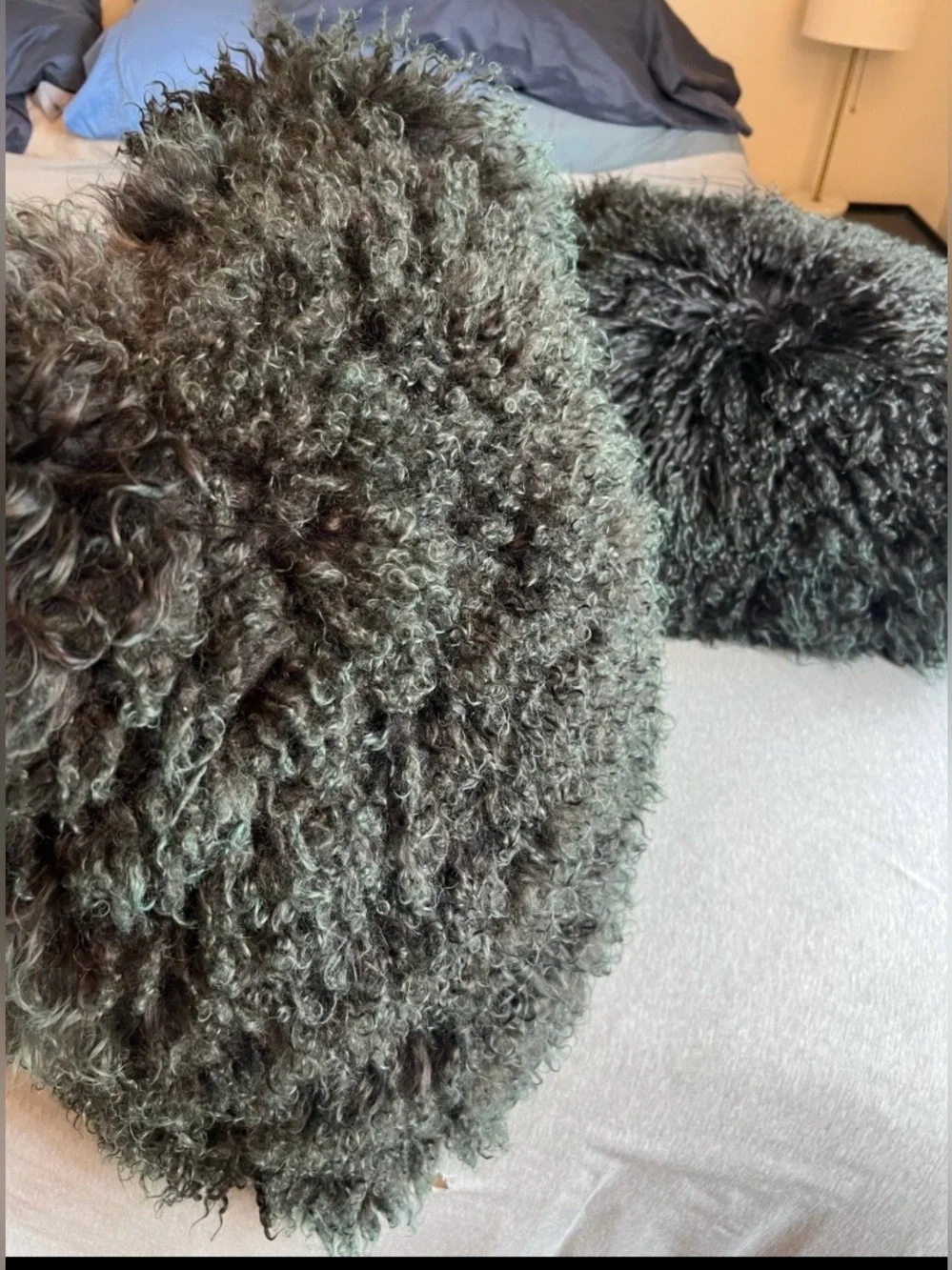 Mongolian Sheep throw pillows 100% wool black & green down inserts 22